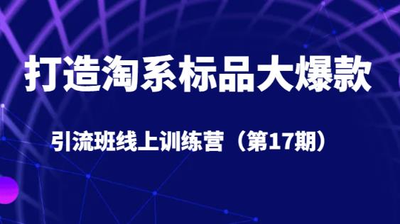 打造淘系标品大爆款引流班线上训练营（第17期）5天直播授课-第一资源库