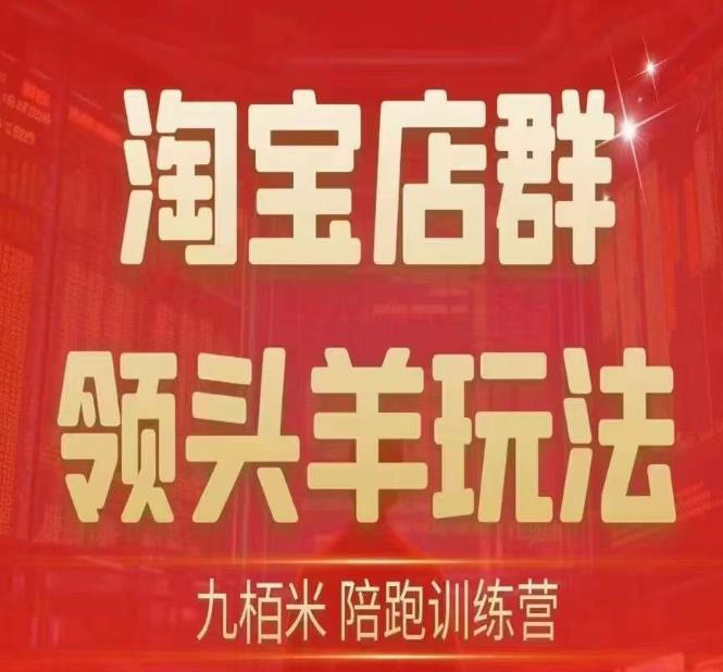 九栢米-淘宝店群领头羊玩法，教你整个淘宝店群领头羊玩法以及精细化/终极蓝海/尾销等内容-第一资源库