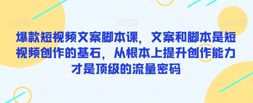 爆款短视频文案脚本课，文案和脚本是短视频创作的基石，从根本上提升创作能力才是顶级的流量密码-第一资源库