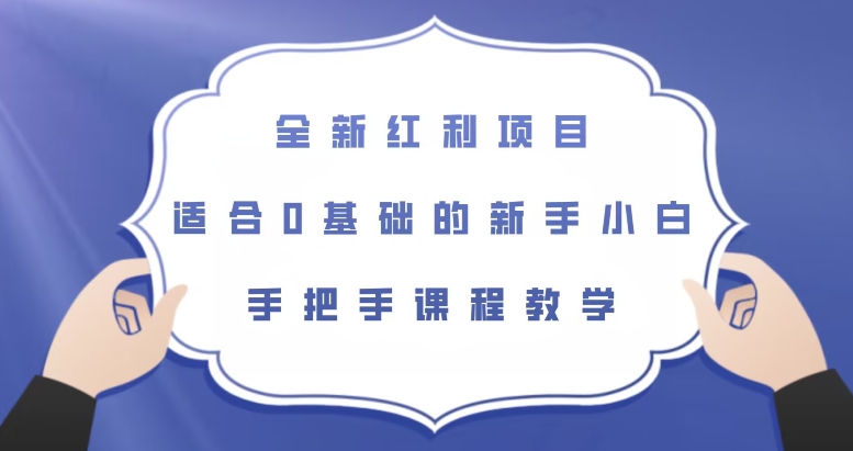 全新红利项目，适合0基础的新手小白，手把手课程教学【揭秘】-第一资源库