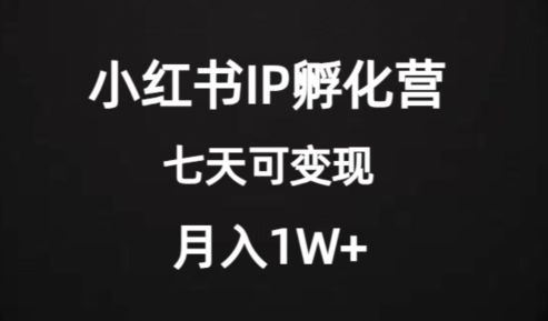 价值2000+的小红书IP孵化营项目，超级大蓝海，七天即可开始变现，稳定月入1W+-第一资源库