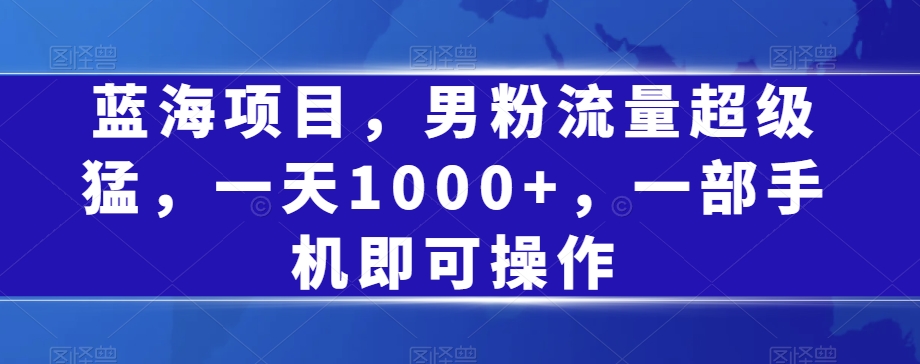 蓝海项目，男粉流量超级猛，一天1000+，一部手机即可操作【揭秘】-第一资源库