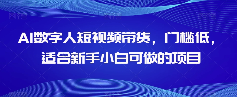 AI数字人短视频带货，门槛低，适合新手小白可做的项目-第一资源库