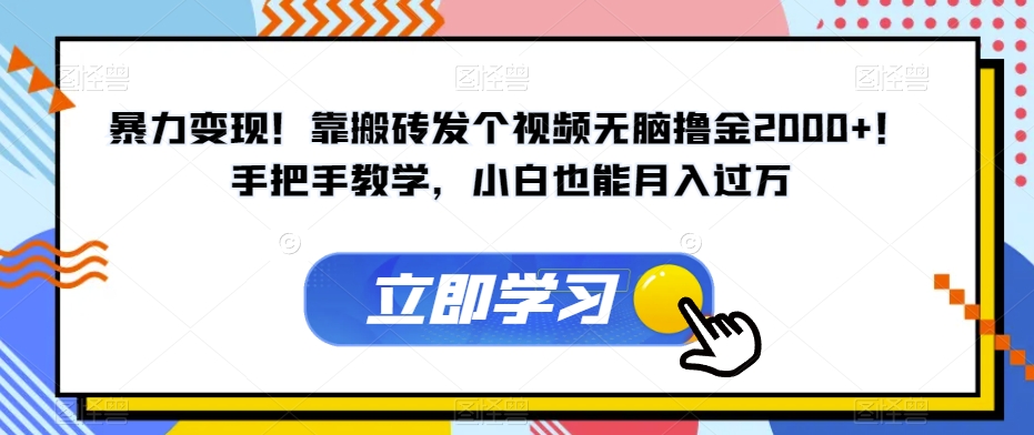 暴力变现！靠搬砖发个视频无脑撸金2000+！手把手教学，小白也能月入过万【揭秘】-第一资源库