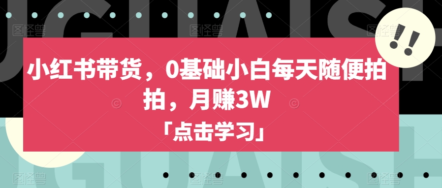 小红书带货，0基础小白每天随便拍拍，月赚3W【揭秘】-第一资源库