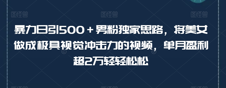 暴力日引500＋男粉独家思路，将美女做成极具视觉冲击力的视频，单月盈利超2万轻轻松松-第一资源库