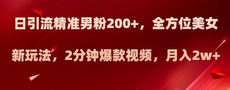 日引流精准男粉200+，全方位美女新玩法，2分钟爆款视频，月入2w+【揭秘】-第一资源库