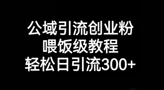 公域引流创业粉，喂饭级教程，轻松日引流300+【揭秘】-第一资源库