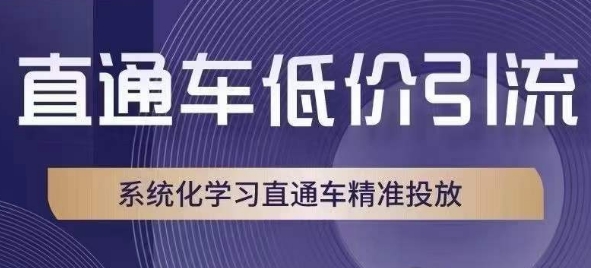 直通车低价引流课，系统化学习直通车精准投放-第一资源库