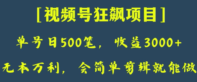 日收款500笔，纯利润3000+，视频号狂飙项目，会简单剪辑就能做【揭秘】-第一资源库