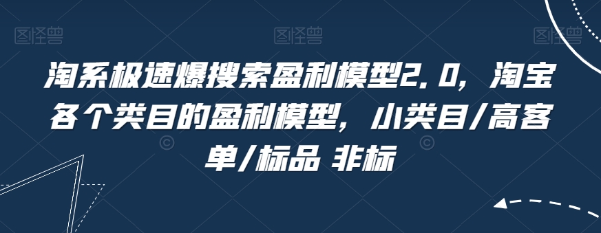 淘系极速爆搜索盈利模型2.0，淘宝各个类目的盈利模型，小类目/高客单/标品 非标-第一资源库