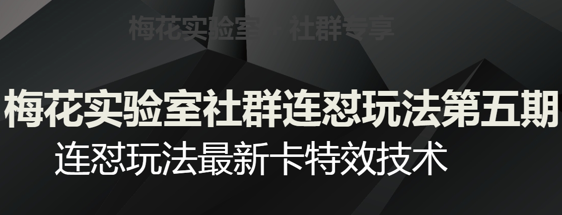 梅花实验室社群连怼玩法第五期，视频号连怼玩法最新卡特效技术-第一资源库