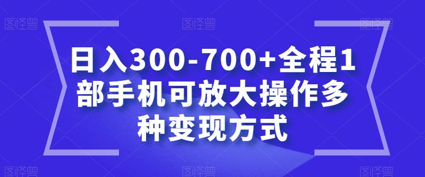 日入300-700+全程1部手机可放大操作多种变现方式【揭秘】-第一资源库