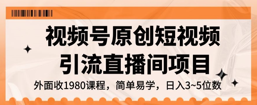 视频号原创短视频引流直播间项目，日入3~5五位数【揭秘】-第一资源库