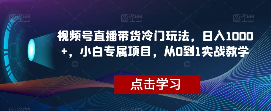 视频号直播带货冷门玩法，日入1000+，小白专属项目，从0到1实战教学【揭秘】-第一资源库