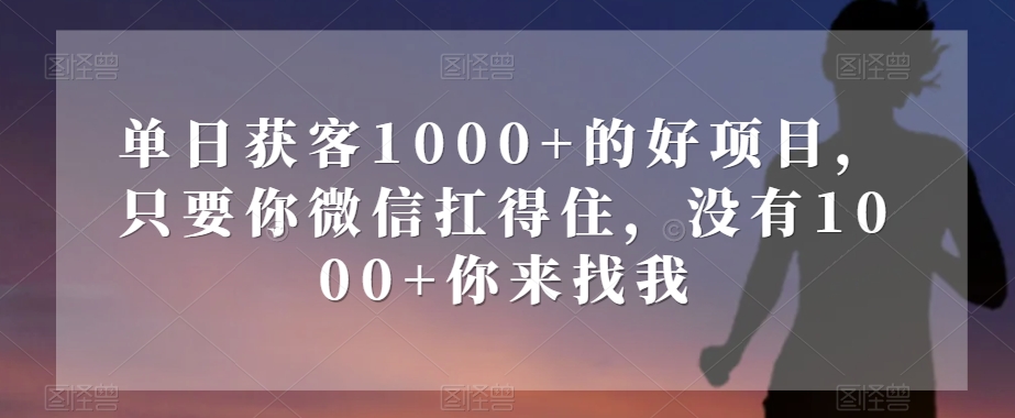 单日获客1000+的好项目，只要你微信扛得住，没有1000+你来找我【揭秘】-第一资源库