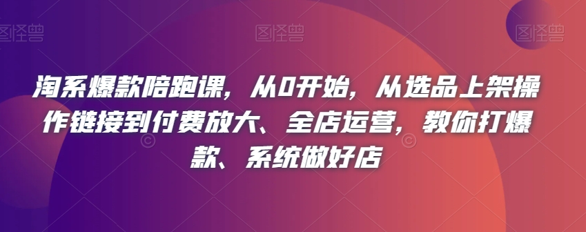 淘系爆款陪跑课，从0开始，从选品上架操作链接到付费放大、全店运营，教你打爆款、系统做好店-第一资源库