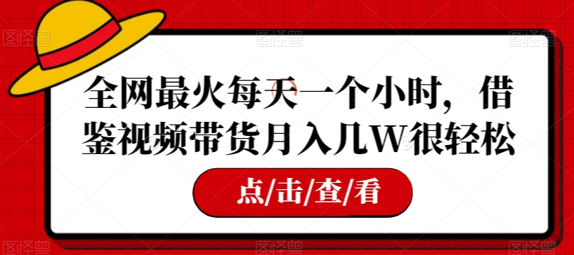 全网最火每天一个小时，借鉴视频带货月入几W很轻松【揭秘】-第一资源库