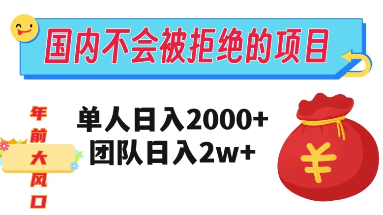 在国内不怕被拒绝的项目，单人日入2000，团队日入20000+【揭秘】-第一资源库