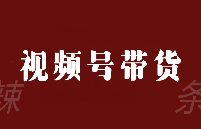 视频号带货联盟，赚信息差的带货钱，只需手机随时随地都可以做！-第一资源库