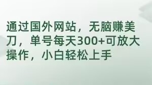 通过国外网站，无脑赚美刀，单号每天300+可放大操作，小白轻松上手【揭秘】-第一资源库