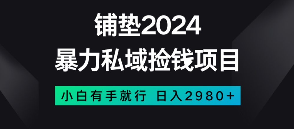 暴力私域捡钱项目，小白无脑操作，日入2980【揭秘】-第一资源库