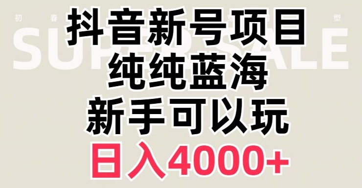 抖音蓝海赛道，必须是新账号，日入4000+【揭秘】-第一资源库