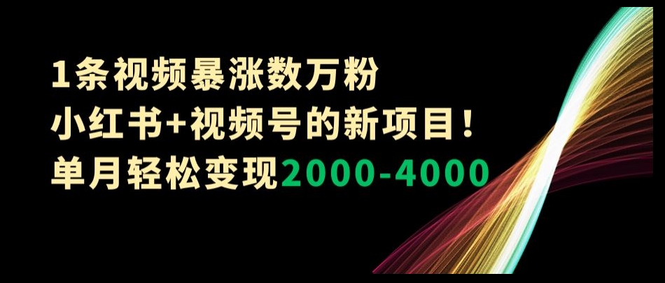 1条视频暴涨数万粉–小红书+视频号的新项目！单月轻松变现2000-4000【揭秘】-第一资源库