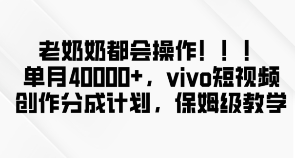 老奶奶都会操作，新平台无脑操作，单月40000+，vivo短视频创作分成计划【揭秘】-第一资源库