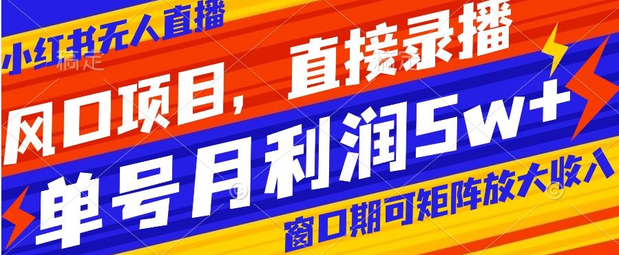 风口项目，小红书无人直播带货，直接录播，可矩阵，月入5w+【揭秘】-第一资源库