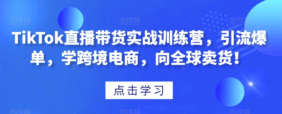 TikTok直播带货实战训练营，引流爆单，学跨境电商，向全球卖货！-第一资源库