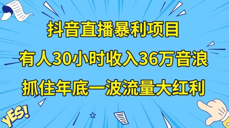 抖音直播暴利项目，有人30小时收入36万音浪，公司宣传片年会视频制作，抓住年底一波流量大红利【揭秘】-第一资源库