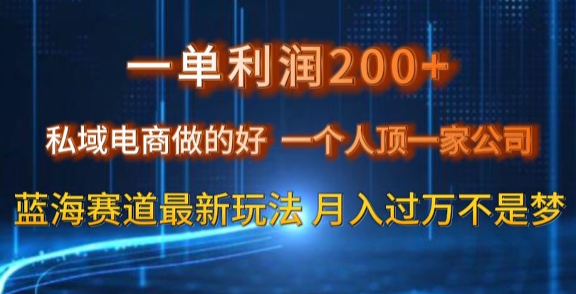 一单利润200私域电商做的好，一个人顶一家公司蓝海赛道最新玩法【揭秘】-第一资源库