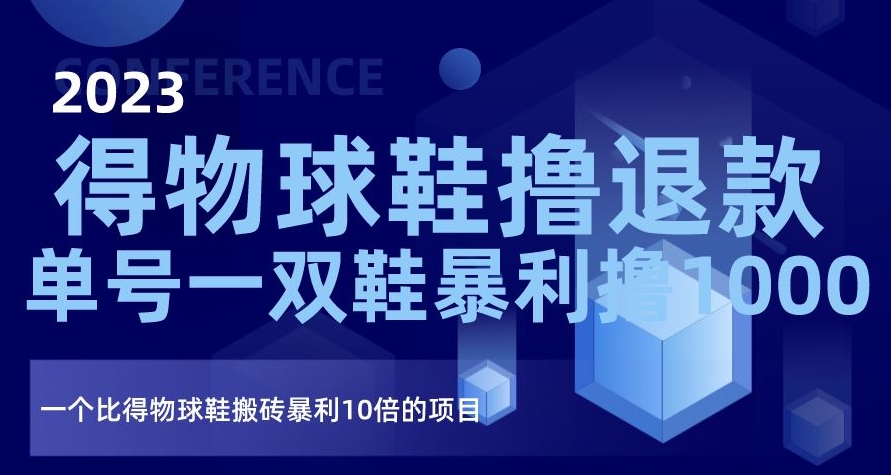 2023得物球鞋撸退款，单号一双鞋暴利撸1000，一个比得物球鞋搬砖暴利10倍的项目【揭秘】-第一资源库