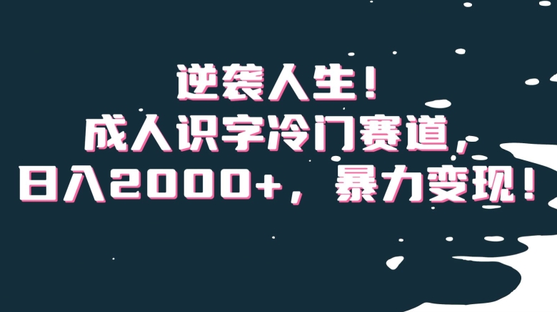 逆袭人生！成人识字冷门赛道，日入2000+，暴力变现！【揭秘】-第一资源库