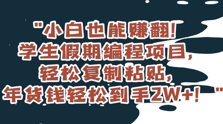 小白也能赚翻！学生假期编程项目，轻松复制粘贴，年货钱轻松到手2W+【揭秘】-第一资源库