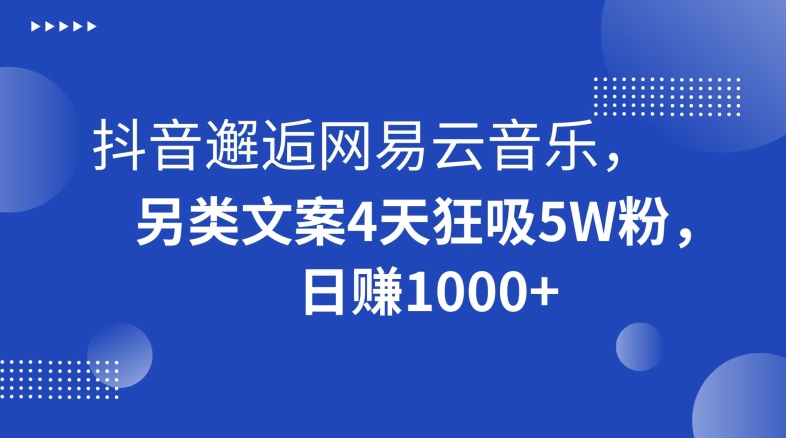 抖音邂逅网易云音乐，另类文案4天狂吸5W粉，日赚1000+【揭秘】-第一资源库