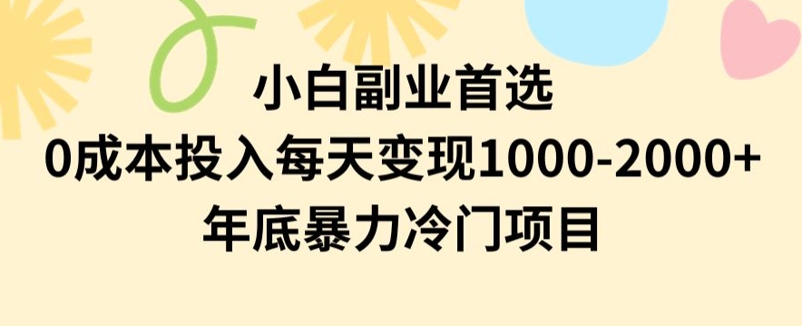 小白副业首选，0成本投入，每天变现1000-2000年底暴力冷门项目【揭秘】-第一资源库