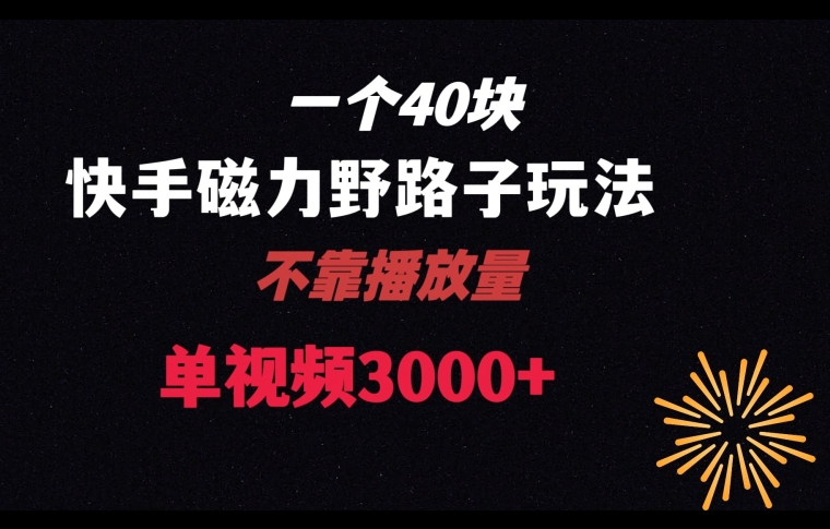 一个40块，快手联合美团磁力新玩法，无视机制野路子玩法，单视频收益4位数【揭秘】-第一资源库