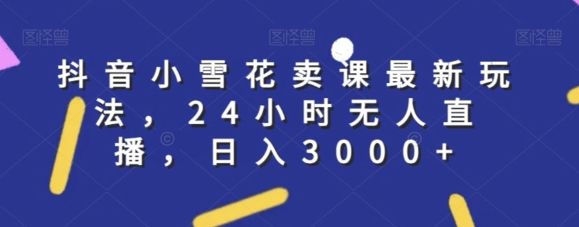 抖音小雪花卖课最新玩法，24小时无人直播，日入3000+【揭秘】-第一资源库