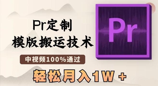 最新Pr定制模版搬运技术，中视频100%通过，几分钟一条视频，轻松月入1W＋【揭秘】-第一资源库