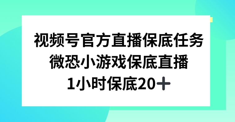 视频号直播任务，微恐小游戏，1小时20+【揭秘】-第一资源库