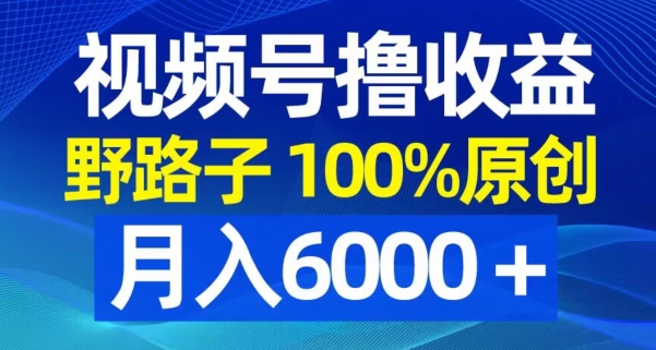 视频号野路子撸收益，100%原创，条条爆款，月入6000＋【揭秘】-第一资源库