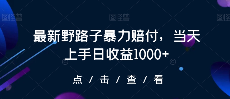 最新野路子暴力赔付，当天上手日收益1000+【仅揭秘】-第一资源库