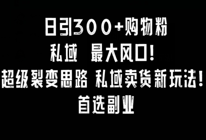 日引300+购物粉，超级裂变思路，私域卖货新玩法，小红书首选副业【揭秘】-第一资源库