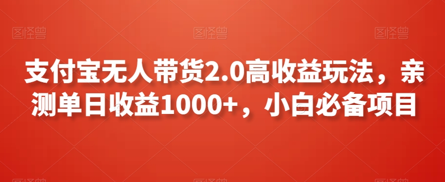 支付宝无人带货2.0高收益玩法，亲测单日收益1000+，小白必备项目【揭秘】-第一资源库