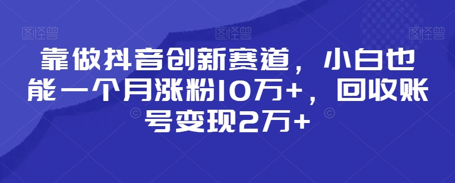 靠做抖音创新赛道，小白也能一个月涨粉10万+，回收账号变现2万+【揭秘】-第一资源库