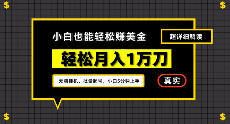 谷歌看广告撸美金2.0，无脑挂机，多号操作，月入1万刀【揭秘】-第一资源库