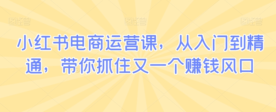 小红书电商运营课，从入门到精通，带你抓住又一个赚钱风口-第一资源库