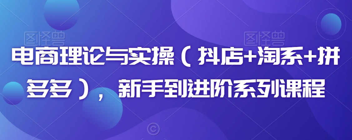 电商理论与实操（抖店+淘系+拼多多），新手到进阶系列课程-第一资源库